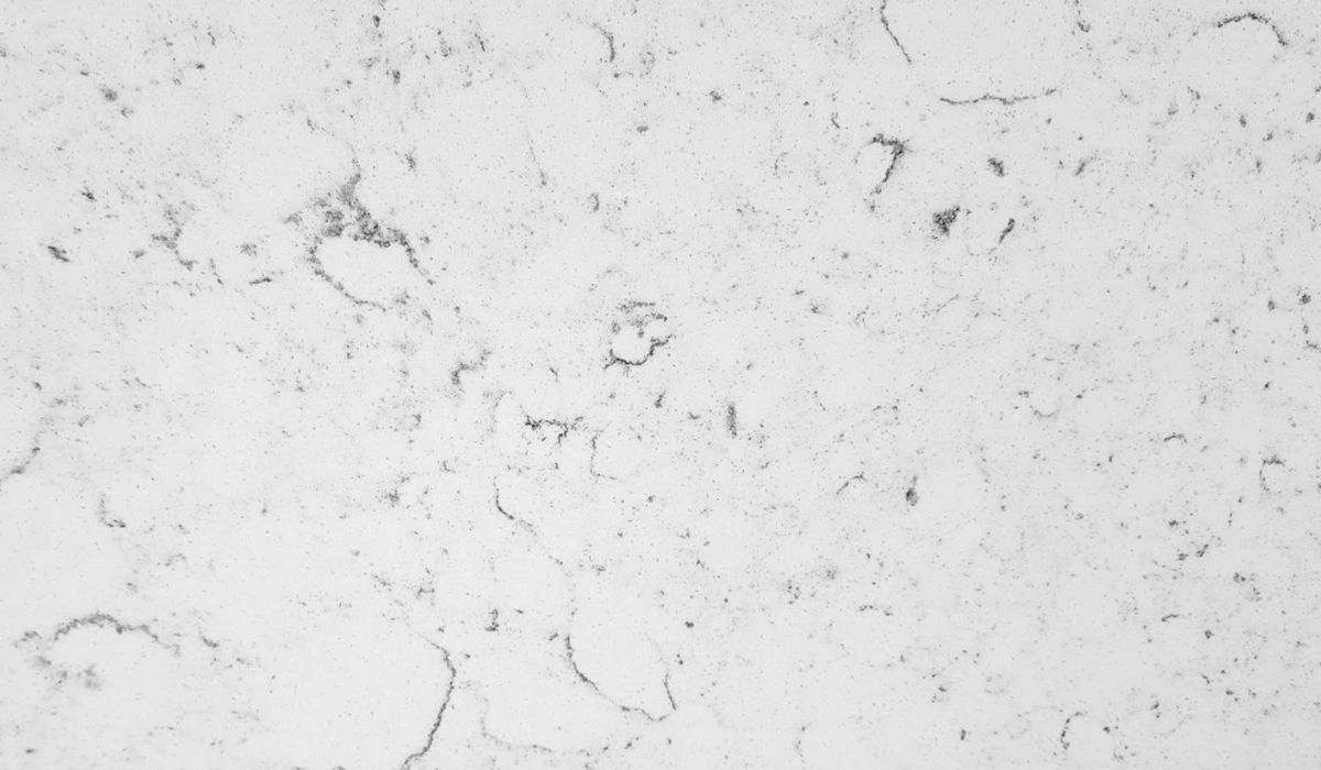 Silva Carrora canvan